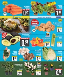 Sellerie im EDEKA Prospekt "Wir lieben Lebensmittel." mit 24 Seiten (München)