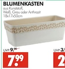 Aktuelles Blumenkasten Angebot bei Wreesmann in Dresden ab 7,99 €