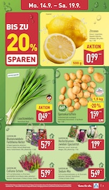 Blumenzwiebeln im ALDI Nord Prospekt in Unna Aktueller ALDI Nord Prospekt mit Blumenzwiebeln, "Aktuelle Angebote", Seite 3