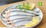 Sardine en promo à 3,99 € chez Supermarchés Match Sardine dans le catalogue Supermarchés Match