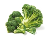 Broccoli von GO Regio für 1,19 € bei Netto mit dem Scottie im Angebot Broccoli von GO Regio im aktuellen Netto mit dem Scottie Prospekt