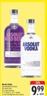 Wild Berry Angebote von Absolut bei E center Schwabach für 9,99 €