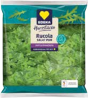 Salat Pur Feldsalat, Rucola oder Junger Spinat im Marktkauf Prospekt Salat Pur Feldsalat, Rucola oder Junger Spinat von EDEKA im aktuellen Marktkauf Prospekt für 1,00 €