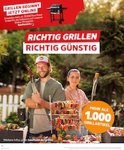 Aktueller Kaufland Prospekt mit Grillkohle, "Aktuelle Angebote", Seite 32