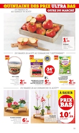 Prix et réduction Fruit Sec dans le prospectus Super U en cours Offre Fruit Sec dans le catalogue Super U du moment à la page 33