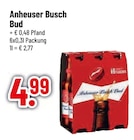 Bud im Trinkgut Prospekt zum Preis von 4,99 €