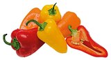 REWE Heimertingen - Snack Paprika Angebot im Prospekt Snack Paprika bei REWE im Heimertingen Prospekt für 1,29 €