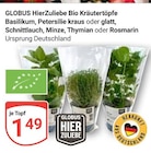 Aktuelle Rosmarin Angebote bei GLOBUS in Halle (Saale) Aktuelles Basilikum Angebot bei GLOBUS in Halle (Saale) ab 1,49 âŹ