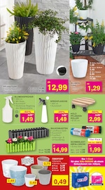 Aktueller KODi Prospekt mit Tasche, "DER HAUSHALTSDISCOUNTER", Seite 5