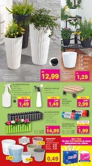 Blumentopf im KODi Prospekt "DER HAUSHALTSDISCOUNTER" mit 12 Seiten (Ludwigshafen (Rhein))