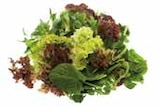 EDEKA Waldkirchen - Bio-Salat Angebot im Prospekt Bio-Salat bei EDEKA im Waldkirchen Prospekt für 1,00 €