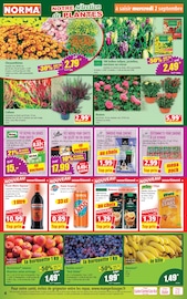 Bière en promo dans le catalogue Norma à la page 4
