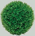 Künstliche Buchsbaumkugel Angebote von Tarrington House bei METRO Wilhelmshaven für 19,03 €