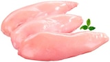 Aktuelle Fleisch Angebote bei REWE in Augsburg Aktuelles Frisches Bio Hähnchenbrustfilet Angebot bei REWE in Augsburg ab 2,79 €