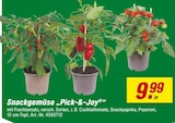 toom Baumarkt Felixsee - Snackgemüse "Pick-&-Joy" Angebot im Prospekt Snackgemüse "Pick-&-Joy" bei toom Baumarkt im Felixsee Prospekt für 9,99 €