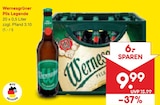Pils Legende im Angebot bei Netto Marken-Discount in Mittweida Pils Legende Angebote von Wernesgrüner bei Netto Marken-Discount Mittweida für 9,99 €