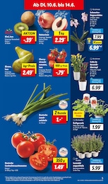 Blumen Angebot & Preis im aktuellen Lidl Prospekt Blumen Angebot im aktuellen Lidl Prospekt auf Seite 5