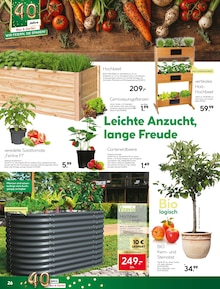 Salat im aktuellen BayWa Bau- und Gartenmärkte Prospekt (Nürnberg) Salat im BayWa Bau- und Gartenmärkte Prospekt "Wir feiern, Sie sparen!" mit 30 Seiten (Nürnberg)