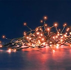 Guirlande LED Flicker Light en promo chez Botanic Guirlande LED Flicker Light dans le catalogue Botanic