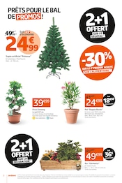 Fleurs Artificielles Angebote im Prospekt "LES 6 J BLACK WEEK DU JAMAIS VU !" von Jardiland auf Seite 2