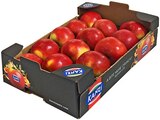 Rote Tafeläpfel Angebote von Kanzi bei REWE Hamburg für 3,79 €