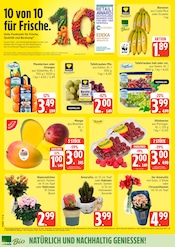 Ähnliche Zitronenbaum Angebote im Prospekt "Top Angebote" von EDEKA in Rostock Ähnliche Angebote wie Zitronenbaum im Prospekt "Top Angebote" auf Seite 4 von EDEKA in Rostock