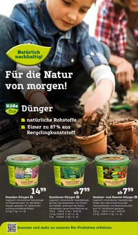Stauden im Pflanzen Kölle Prospekt "Ostern steht vor der Tür!" mit 18 Seiten (Stuttgart)