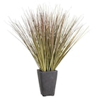 Plante artificielle dans le catalogue B&M