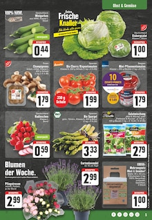Gemüse im EDEKA Prospekt "Aktuelle Angebote" mit 24 Seiten (Wuppertal)