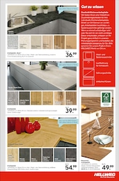 Garten Angebot im aktuellen Hellweg Prospekt auf Seite 13