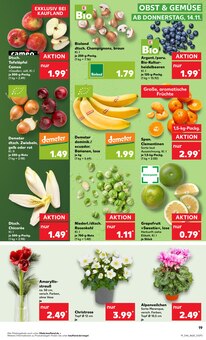 Blumen im Kaufland Prospekt "Aktuelle Angebote" mit 64 Seiten (Moers)