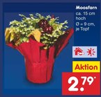 Moosfarn im aktuellen Netto Marken-Discount Prospekt für 2,79 €