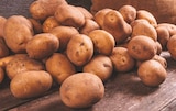 Bio Speisekartoffeln im Netto Marken-Discount Prospekt Speisekartoffeln von BioBio im aktuellen Netto Marken-Discount Prospekt für 1,99 €