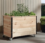 Hochbeet auf Rollen im aktuellen Holz-Zentrum Theile Prospekt