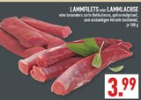 Lammfilets im Angebot bei Marktkauf in Bad Salzuflen Lammfilets Angebote bei Marktkauf Bad Salzuflen für 3,99 €