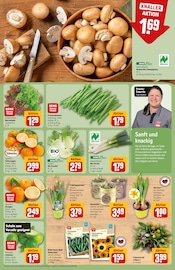 Pilze im REWE Prospekt in Heidelberg Aktueller REWE Prospekt mit Pilze, "Dein Markt", Seite 9