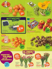 Blumen im tegut Prospekt "tegut… gute Lebensmittel" mit 25 Seiten (Würzburg)