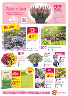 Prospectus Delbard à Aumale, "90 ans à colorer votre automne !", 4 pages de promos valables du 08/10/2025 au 19/10/2025