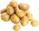 Angebot im REWE Senden, Coesfeld Prospekt REWE Senden, Coesfeld Prospekt mit im Angebot fĂŒr 1,99 âŹ