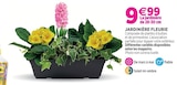 Promo Jardinière Fleurie à 9,99 € dans le catalogue Delbard à Le Porge