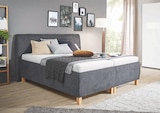 Opti-Wohnwelt Würzburg - Polsterbett Angebot im Prospekt Polsterbett bei Opti-Wohnwelt im Würzburg Prospekt für 2.099,00 €