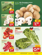 Paprika im Netto Marken-Discount Prospekt in Wolfenbüttel Aktueller Netto Marken-Discount Prospekt mit Paprika, "Aktuelle Angebote", Seite 5