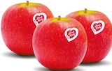 Äpfel von Pink Lady im aktuellen Netto mit dem Scottie Prospekt