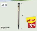 Solarlampe für 3,99 € bei famila Nordwest im Angebot Solarlampe im aktuellen famila Nordwest Prospekt