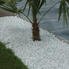 Gravier en marbre roulé - Jardiland à Joué-lès-Tours Gravier en marbre roulé en promo chez Jardiland Joué-lès-Tours à 16,99 €