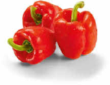 Paprika rot im Angebot bei Netto Marken-Discount in Duisburg Paprika rot Angebote bei Netto Marken-Discount Duisburg für 1,35 €