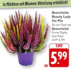 Angebot im EDEKA Ortenberg, Ortenaukreis Prospekt EDEKA Ortenberg, Ortenaukreis Prospekt mit im Angebot für 5,99 €