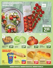Aktueller famila Nordost Prospekt mit Tomaten, "besser als gut!", Seite 7