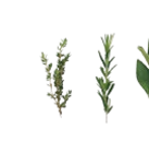 Kaufland Dossenheim Prospekt mit  im Angebot für 1,39 €