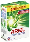 Waschmittel Pulver Color oder Universal Angebote von Ariel bei Wreesmann Hoyerswerda für 17,99 €